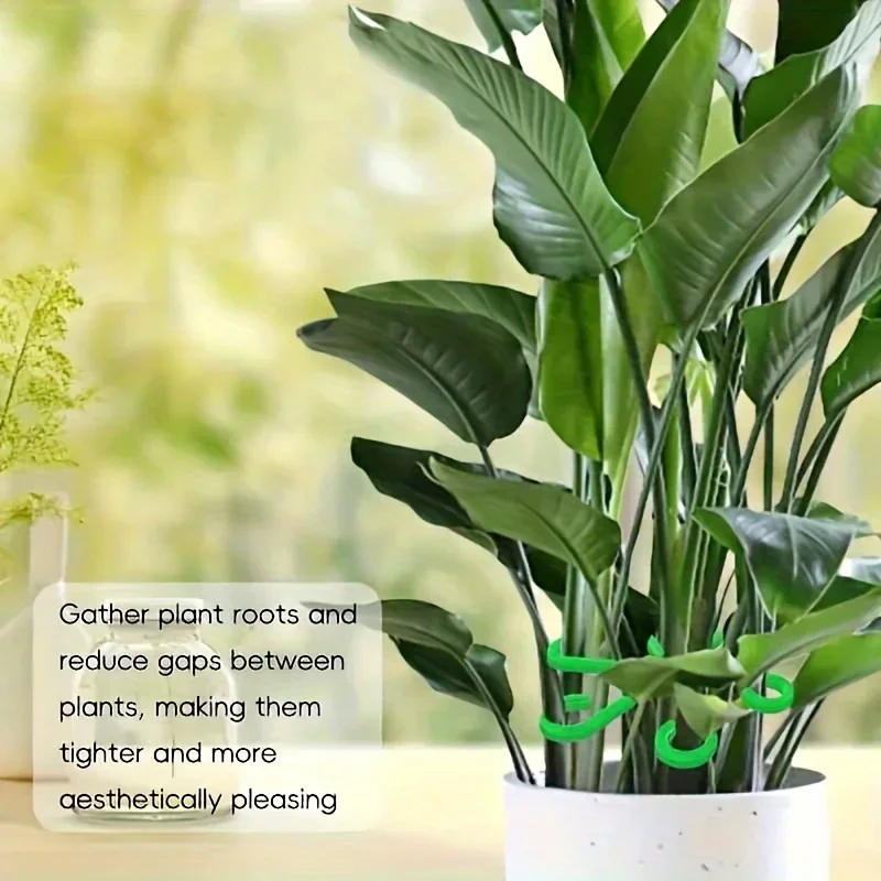 4 Plastic Plant Support Clips, Transparent Green Vine Climbing Frame, Adjustable Plant Stem Clips for Fixing and Upright Growth