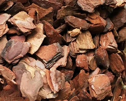 

Polishing Pine Bark And Crawler Box Cushion Materials To Create Scenery