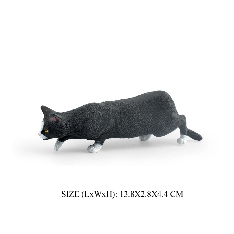 Cat -14