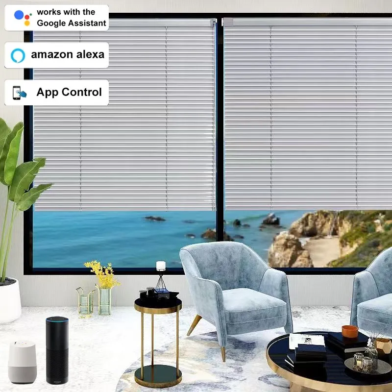 Obturador de aluminio inalámbrico Manual/eléctrico, motor de accionamiento de sombreado, control inteligente eléctrico Tuya, modelo de carga de obturador rodante