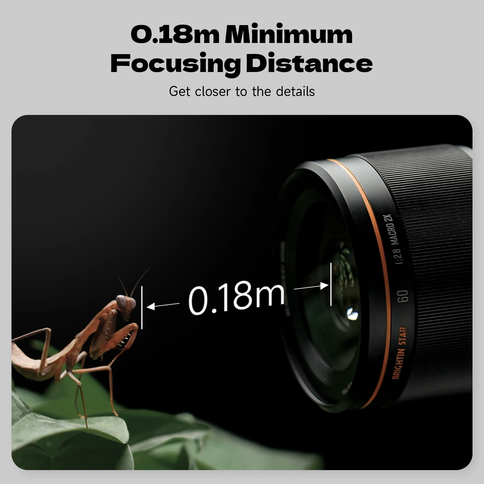 

Brightin Star 60mm F2.8 APS-C Lens Manual Focus Large Aperture Camera Lens For Sony E Canon RF EF-M Nikon Z Fuji XF M4/3 Mounts