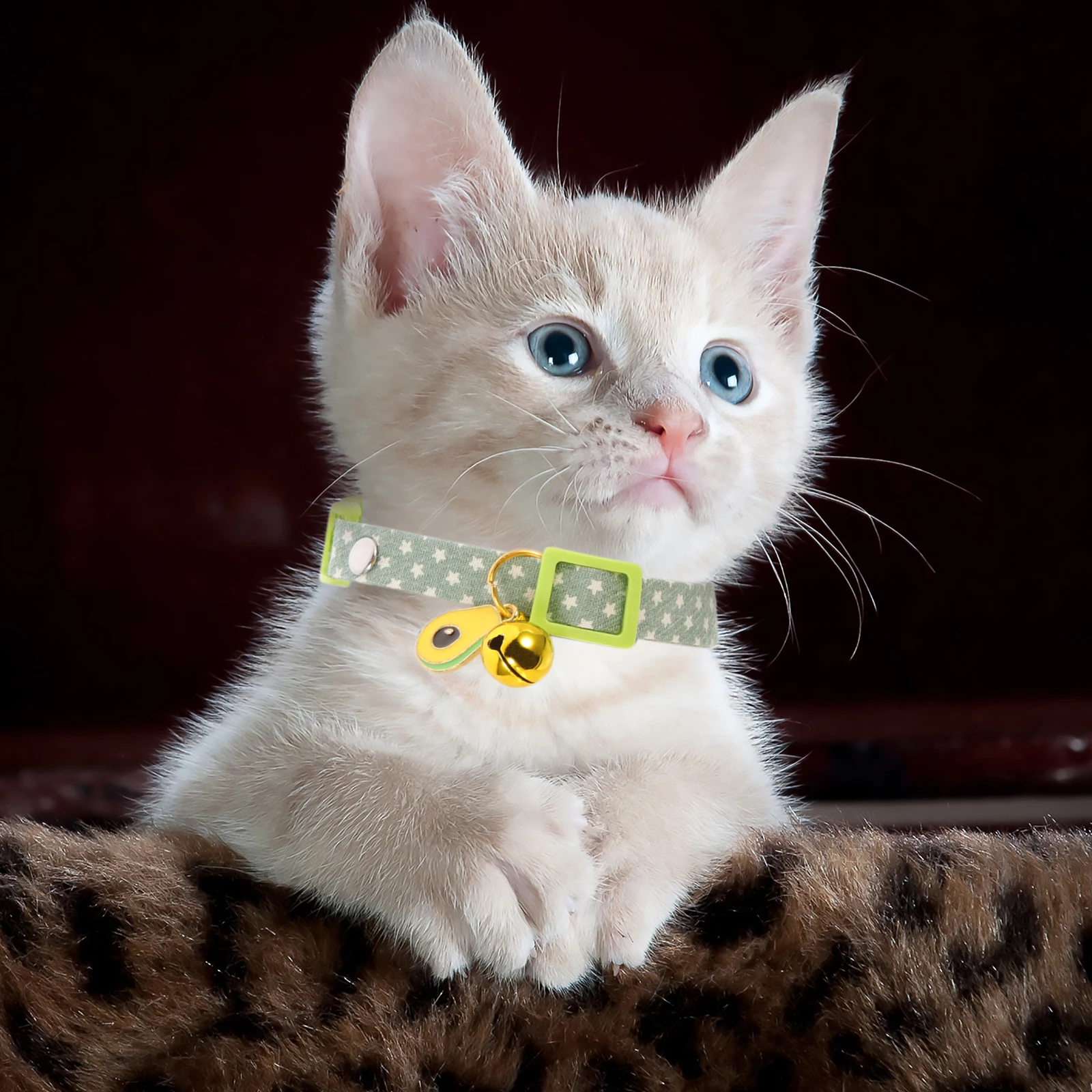 

3pcs Collar Avocado Pendant Decorative Cat Collars Lightweight Adjustable Kitten Collars Pet Necklace Christmas Hunting