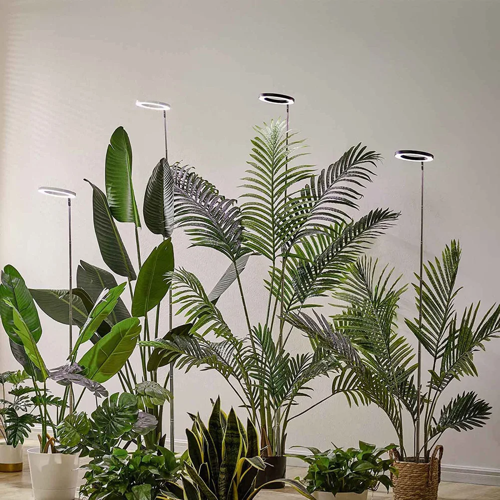 Luz de Crescimento Vegetal de Espectro Completo, 5 Brilho Ajustável, Temporizador Ligado e Desligado, Lâmpadas Crescentes para Promover, 3 H, 9 H, 12H, 72 LEDs