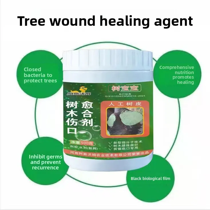 500 جرام من شتلات شجاع الجروح من شجرة Aswol، طبقة مانعة للتسرب، شتلات المطر والشمس، بونساي للزواج وتقليم النباح الاصطناعي