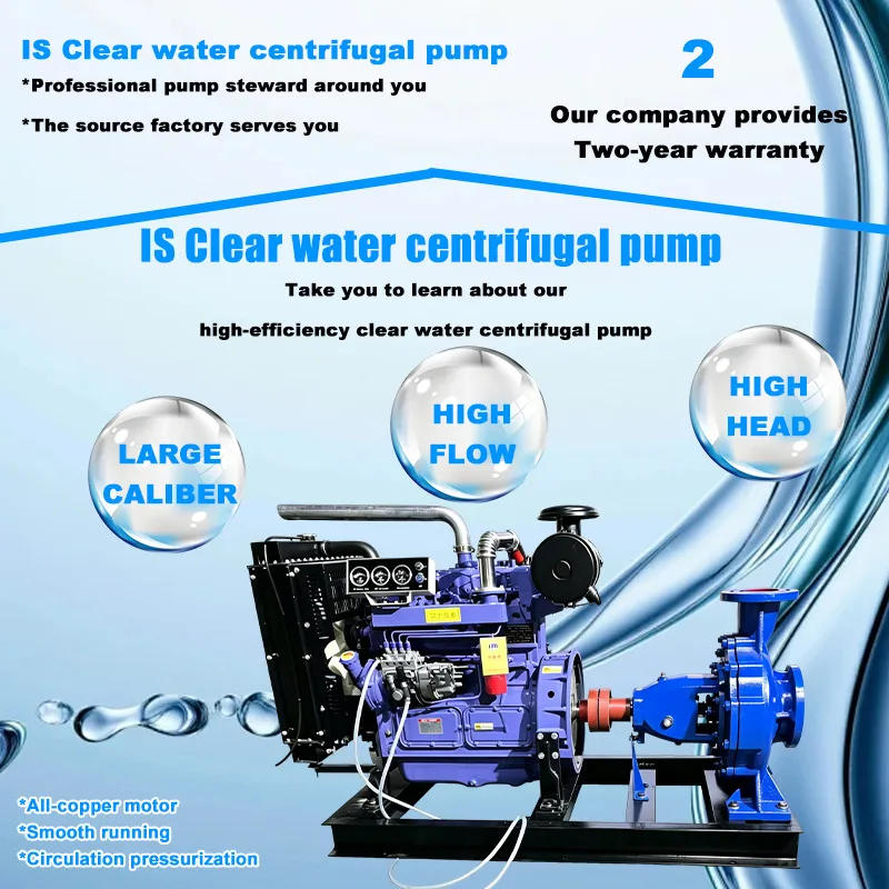 Horizontal End Suction IS Pump Custom Design For Pipeline Pressure Testing