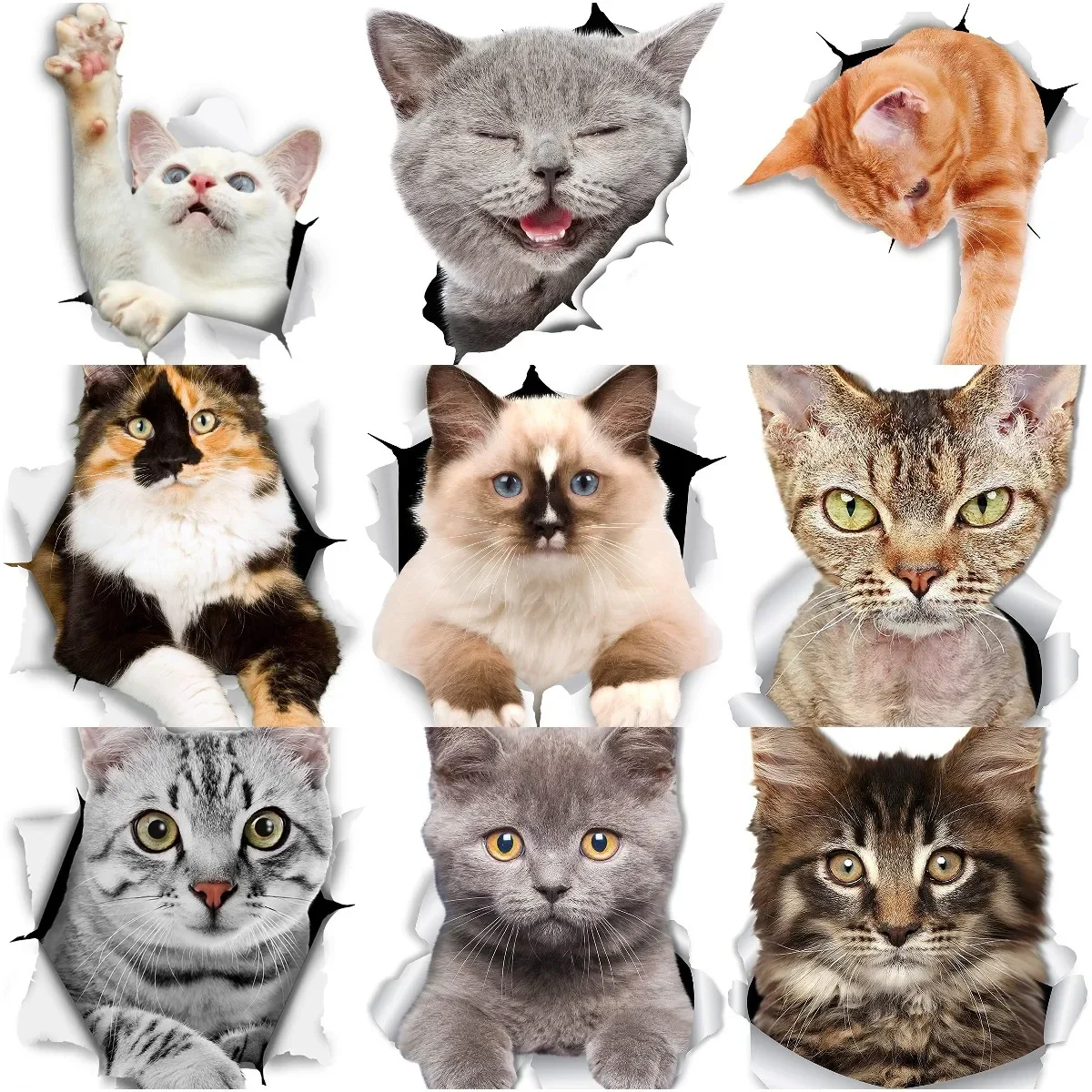 

3D Cat Cute Creative PVC Stickers Accessories for Decorate Car Window Wall Room Table Off-road Helmet Bumper Bicycle Fridge