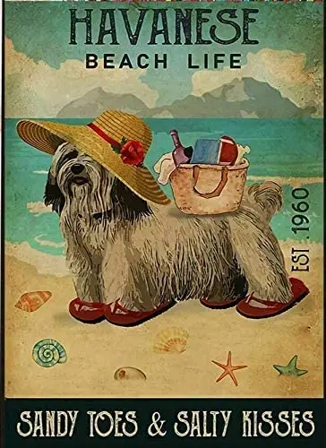 Havanese Beach Life Sandy Toes & Salty Kisses Dog Lover Metal Sign 12x8 Inch