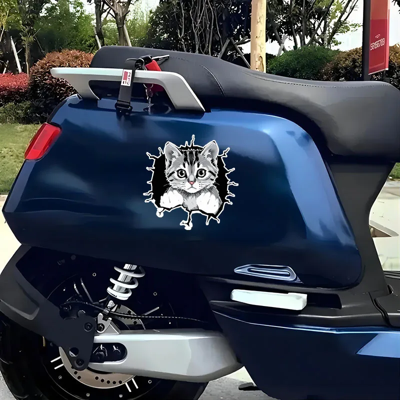 1Pc 2D Flat Peeking Cat Waterproof Sticker, Crack Effect Decal for Car Truck Window Laptop