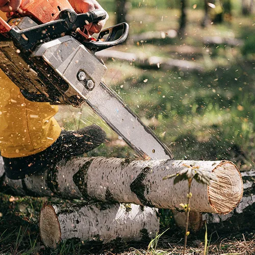 Imagen 2 del producto Cadena de motosierra de 18 pulgadas, paso de 3/8 ""LP, calibre 0,050"", reemplazo 62DL apto para artesano Poulan, Kobalt, Echo, Greenworks y más