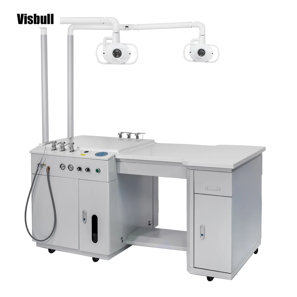 Double work position ent units / ENT  treatment unit / ENT examination unit with endoscope video