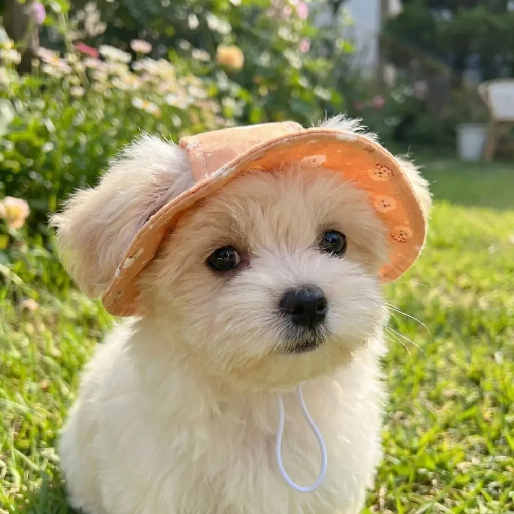 Adjustable Dog Fisherman Hat Cartoon Print with Ear Hole Cat Bucket Hat Breathable UV Protection Cat Sunscreen Hat Puppy