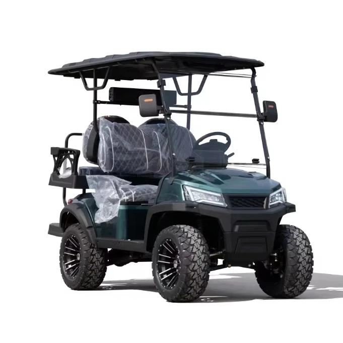 

Low Price 2 Seats Golf Cart Hot in USA