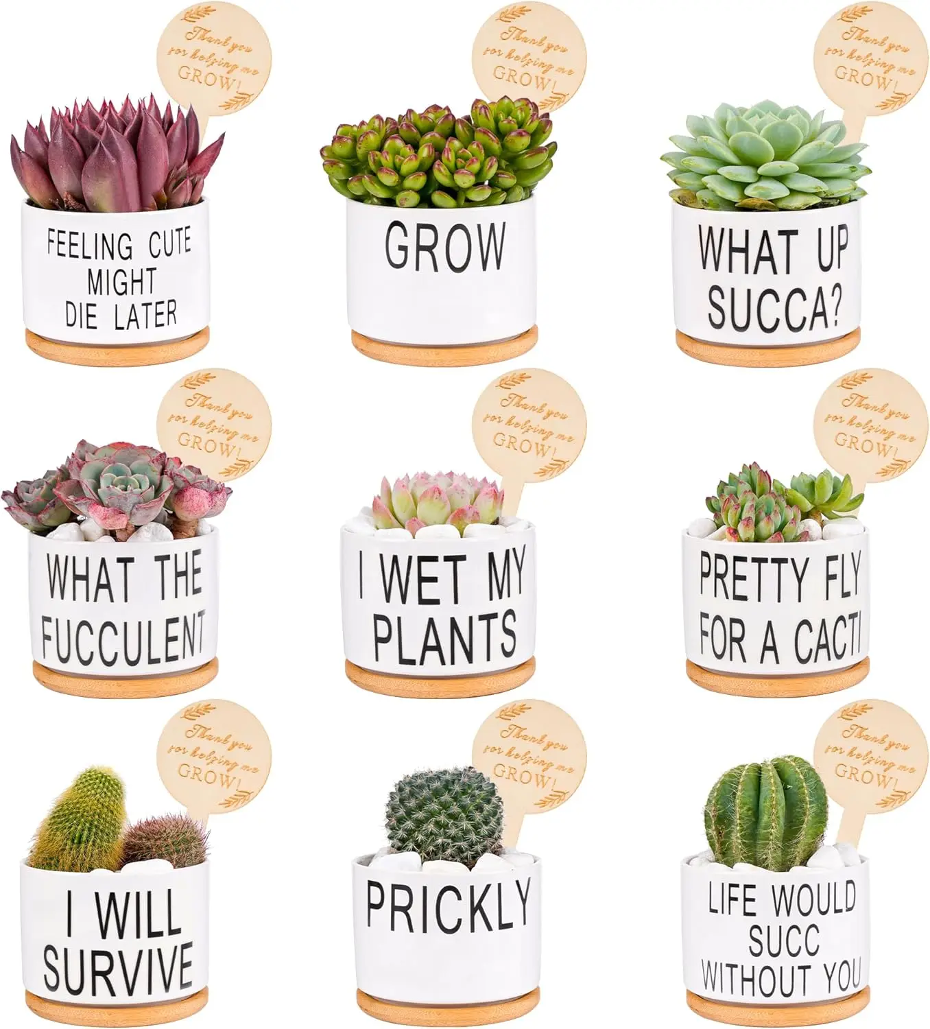 

Набор из 9 горшков для суккулентов, подарки на День благодарения, подарки к Неделе признания сотрудников, для сотрудников, учителей, медсестер, 3,15 дюйма, суккуленты