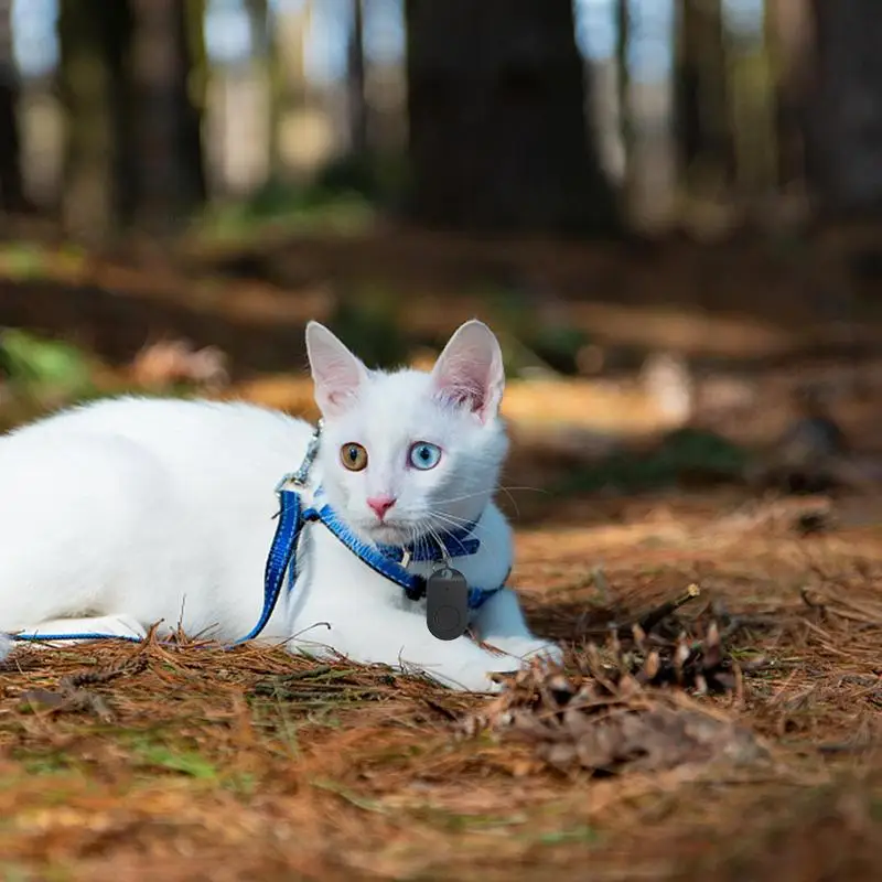 リモコン付きワイヤレスキーファインダー,キーロケーター,ペットトラッカー,追跡デバイス
