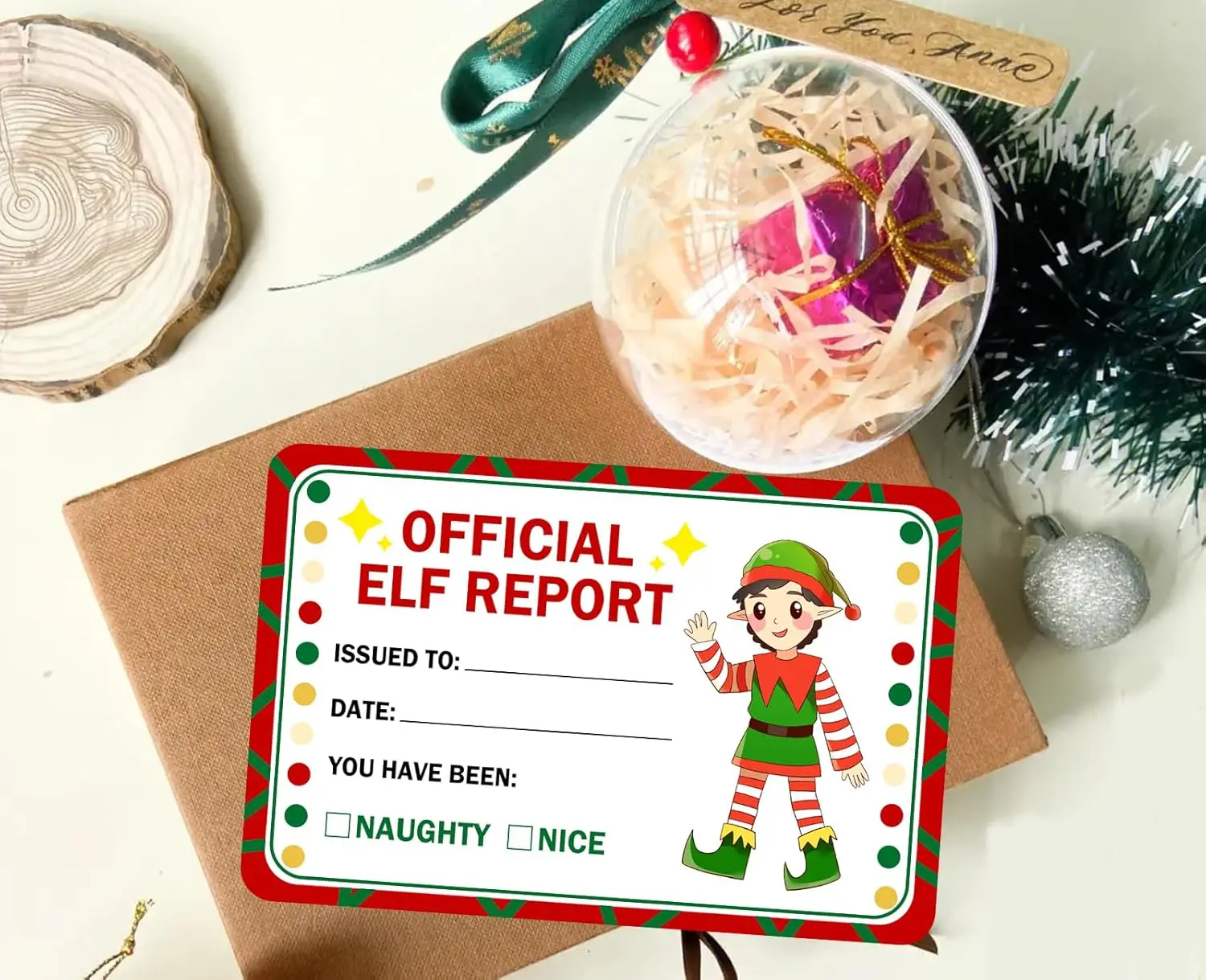 Official Elf Reports North Pole Elf Christmas Cards 4