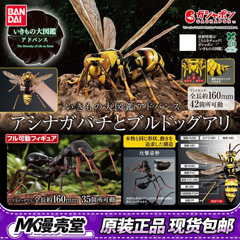 

В наличии: Миниатюра Bandai Gashapon из серии «Разнообразие жизни на Земле» — Оса (Myrmecia Gulosa), Оса-мандаринка (Vespa Mandarinia)