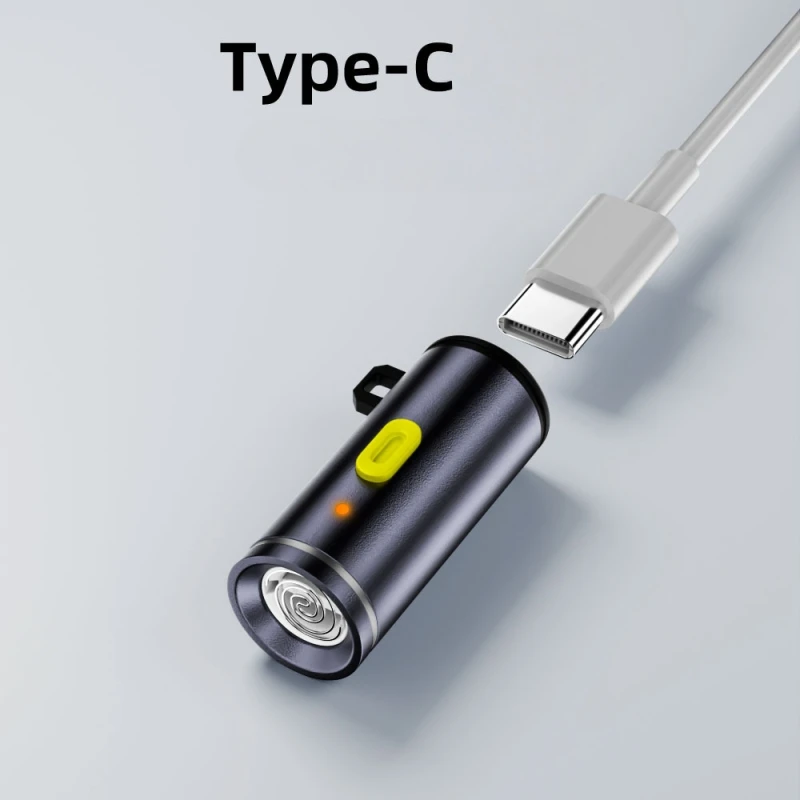 

C-type Plug-in Igniter Outdoor Windproof Igniter Emergency Small Flashlight Work Light Suitable for Business Travel