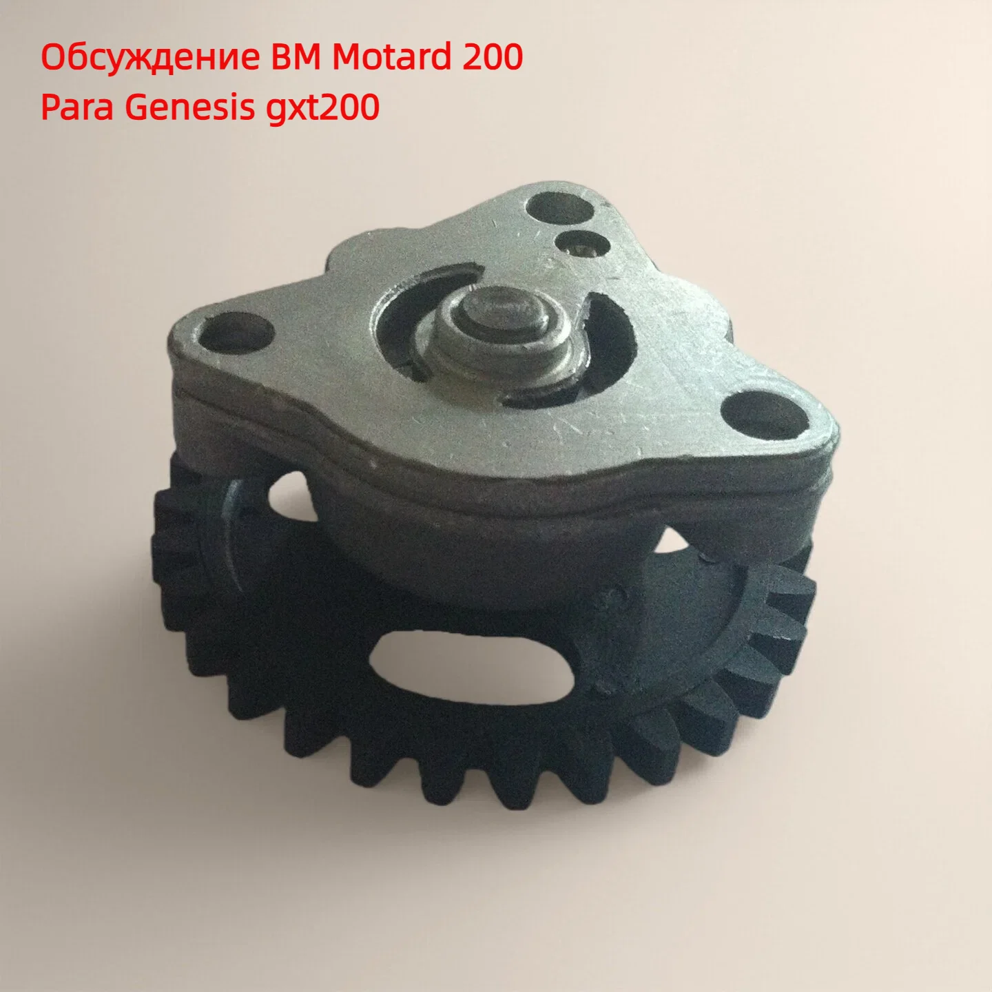 

Motorcycle Oil Pump for Qingqi Qm200gy BM Motard200 Genesis Gxt200