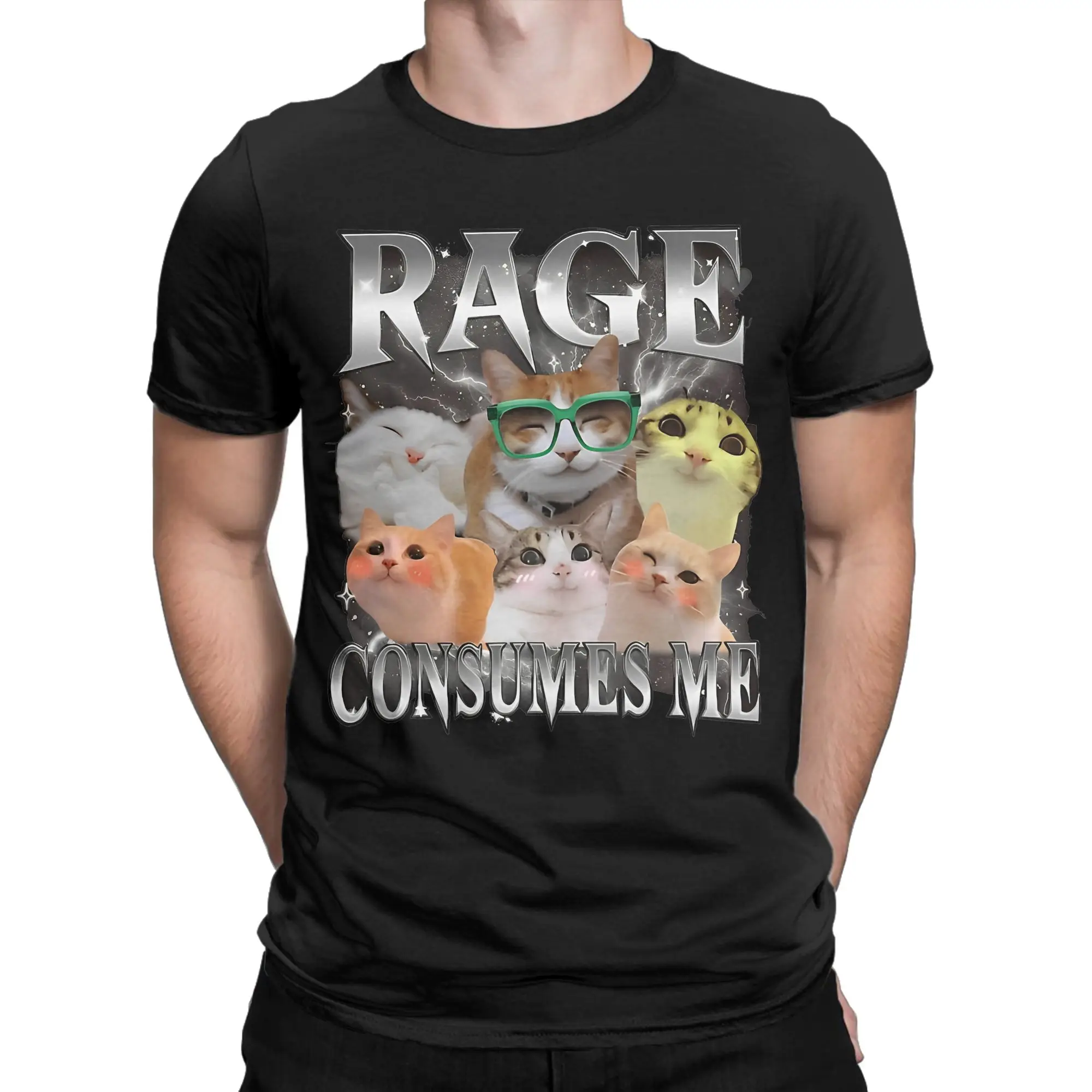 Rage Consumes Me Cat T-Shirts Men Women Silly Staring Cat Pure Cotton Tees Round Collar Short Sleeve T Shirt Big Size Clothes