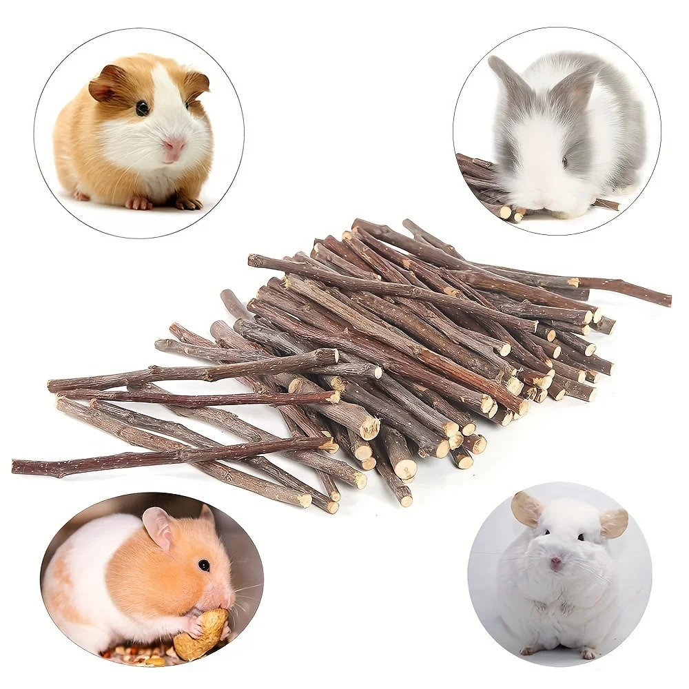 250g Apple Sticks Small Animals Molar Wood Treats Toys for Rabbits Chinchillas Guinea Pig Hamster Gerbil Parrot Bunny and Small