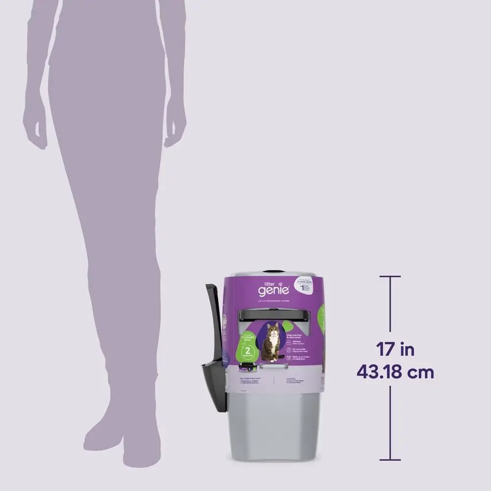description