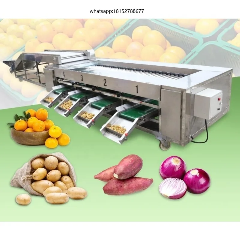 Fruit &Vegetable Grading Machine