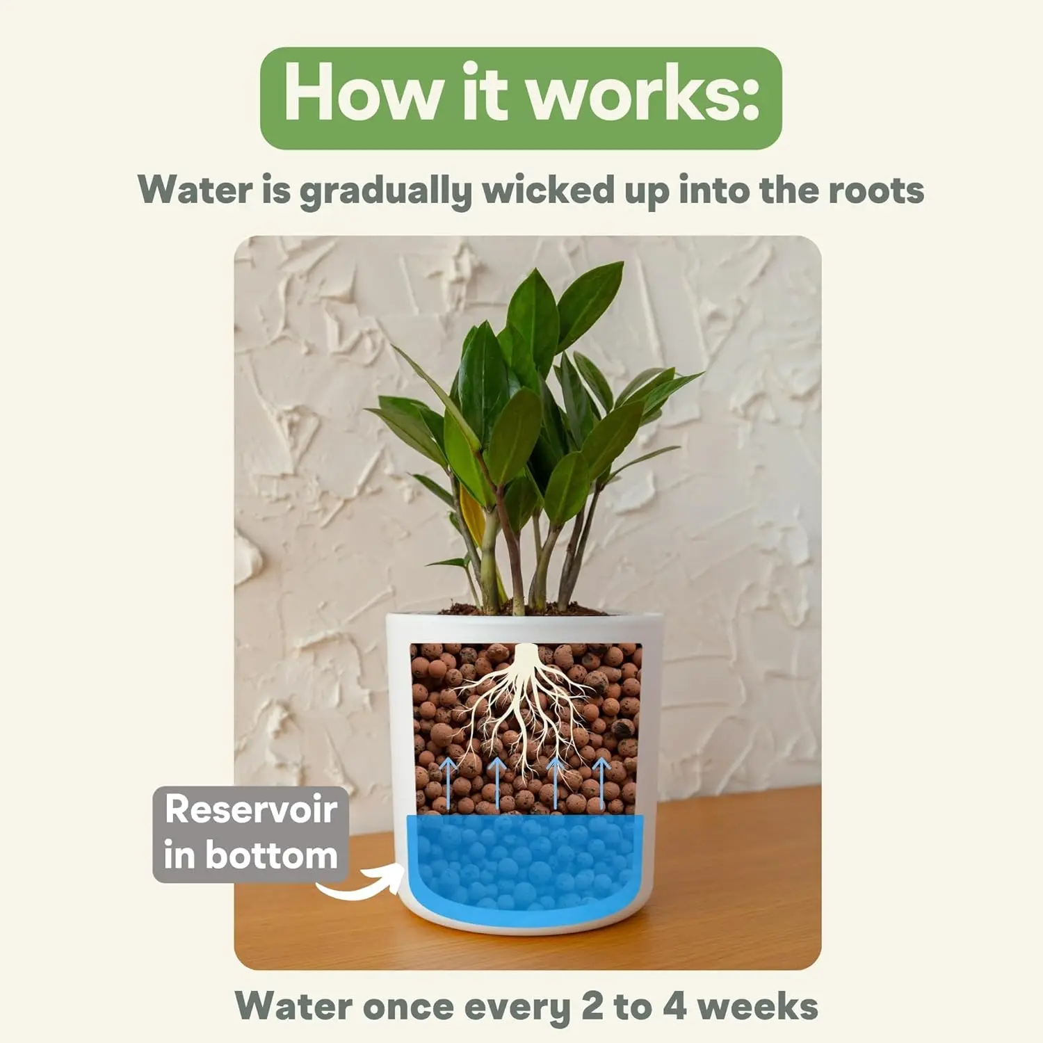 Indoor Plant Use, Plastic, Cream Self-Watering Planter with Clear Inner Pot & Water Level Indicator, 4-Pack