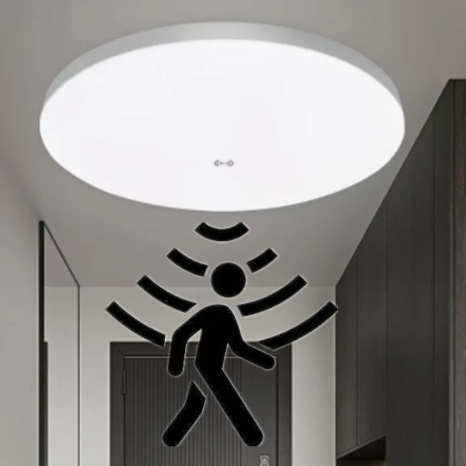 Ceiling Lamp Motion…