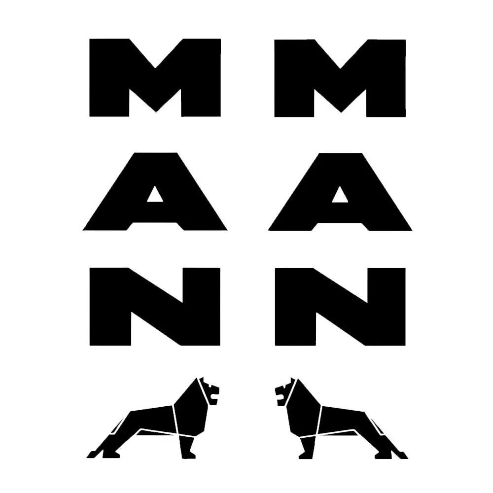 For MAN truck mirror back decals x 2. TGX TGS TGA  ﻿
