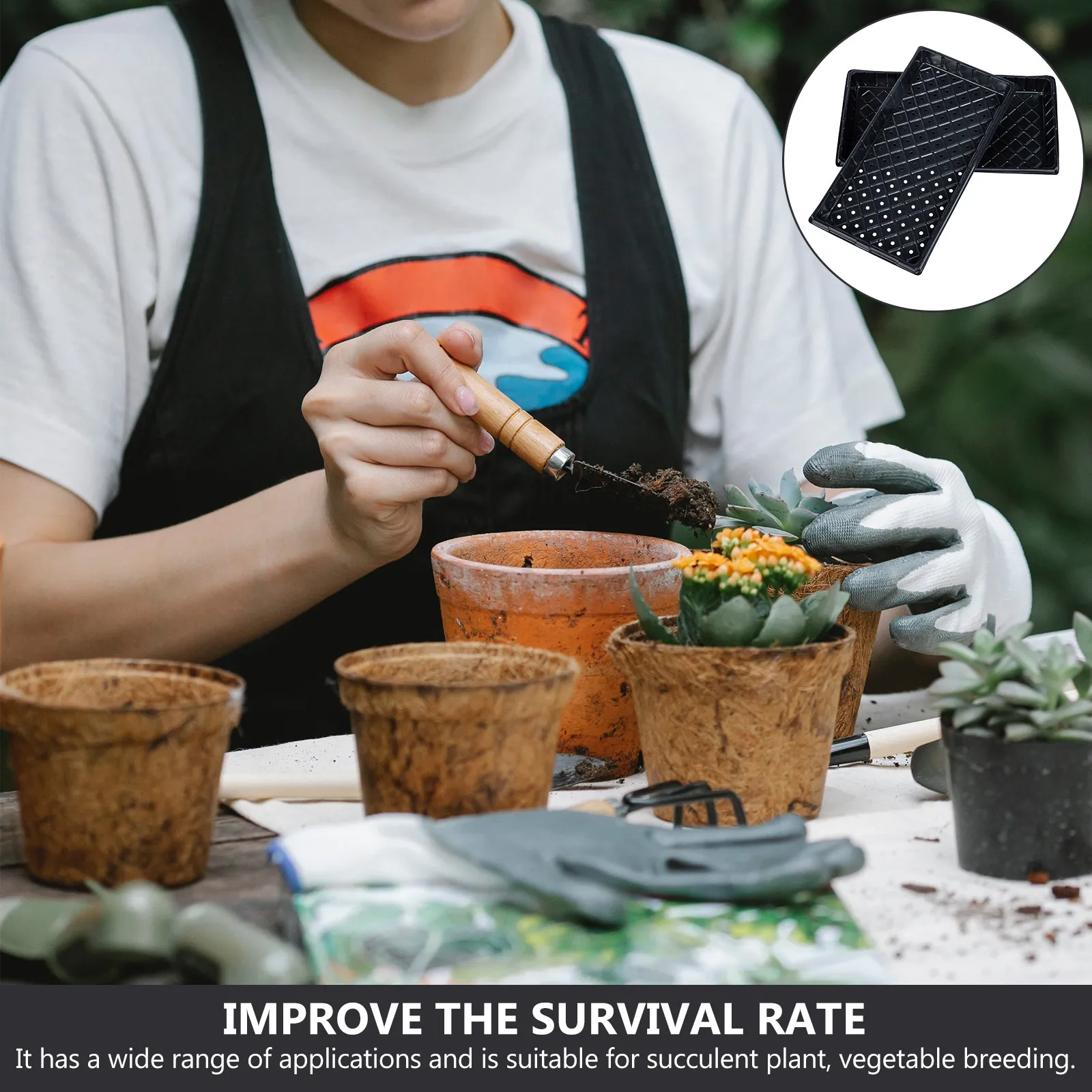 

5 комплектов плоских лотков для выращивания суккулентов и овощей, рассадник с куполом для контроля влажности, для теплиц и садоводства