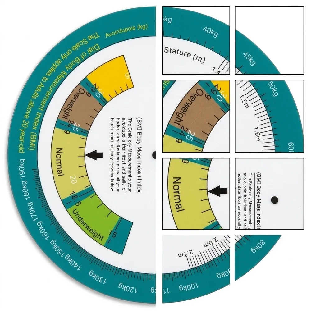 BMI For Dial Turntable Chart Paper for Body Mass Index Reference and Weight Class Estimation 15 cm 6 inch Wall Mount
