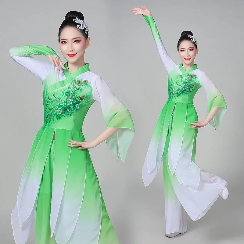 Adult Female Stereoscopic Flower Classical Dance Costumes Chinese Jasmine Yangko Costumes Fan Dance Elegant Sequins Dance Costum