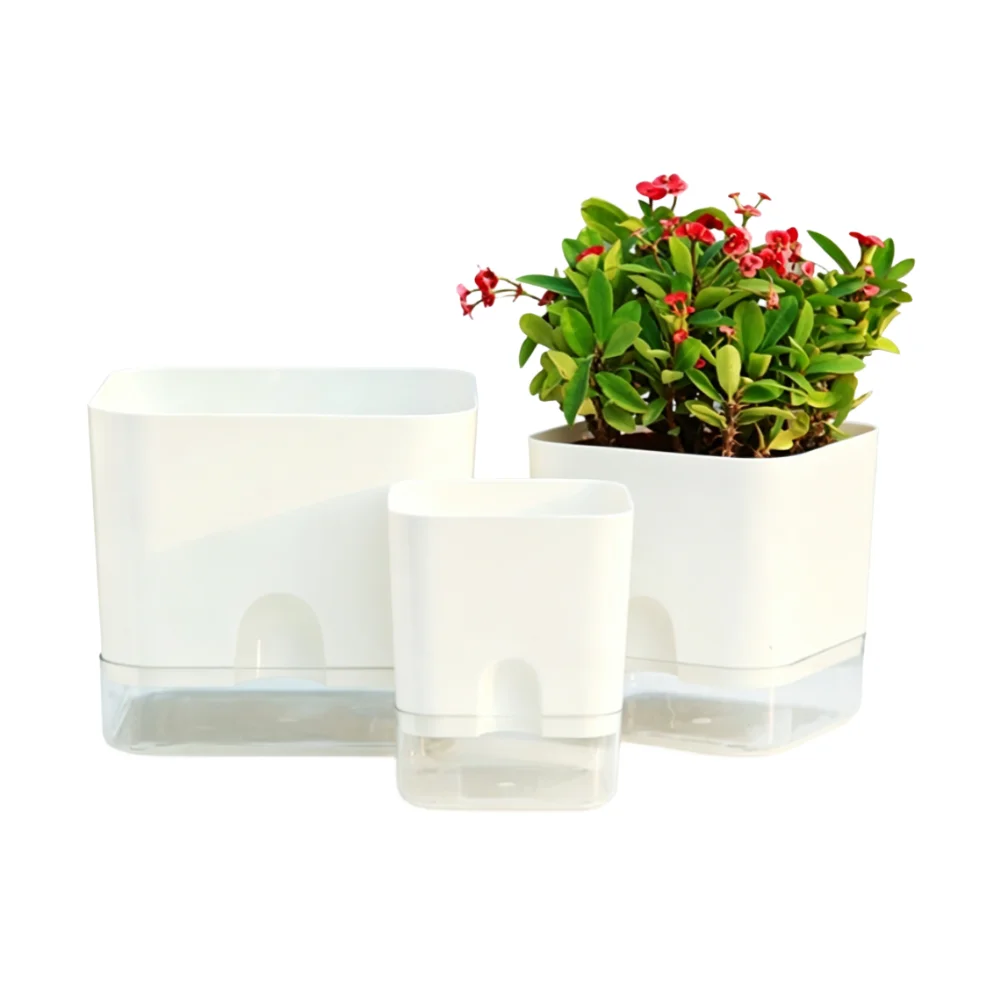 Resin Self Watering Plant Container with Clear Base for Indoor Green Plants PP Material Breathable Bottom 11x10x13.5cm 3 Units