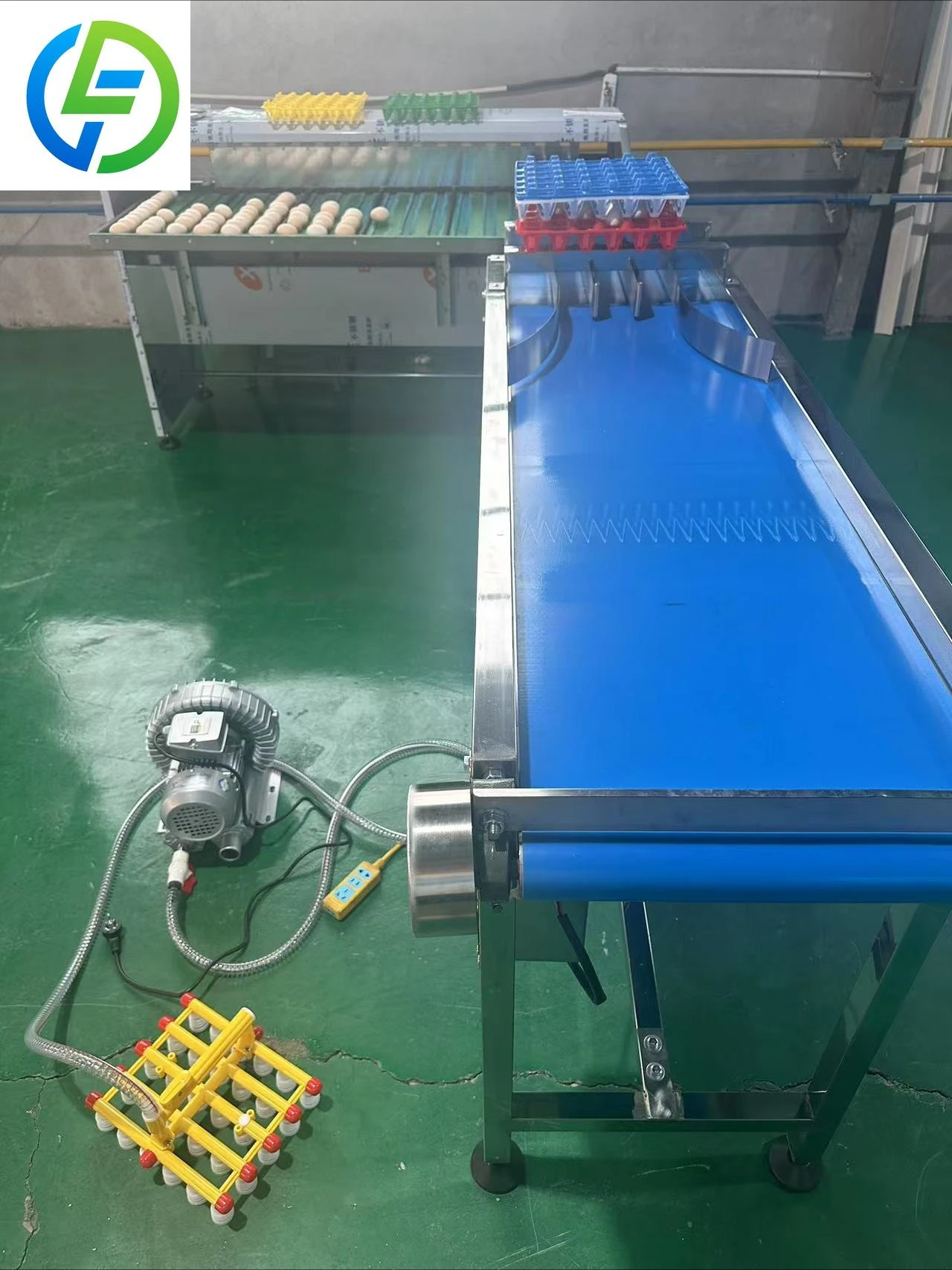 FOODLINE Commercial Egg Weight Sorting Machine Stainless Steel Device For Poultry Egg Production Workshop