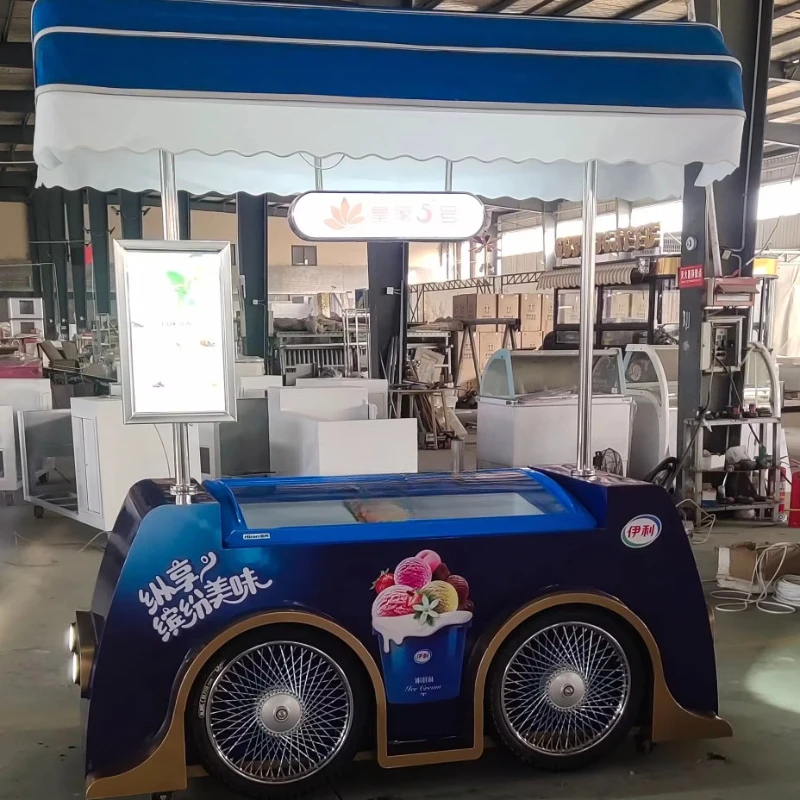 New Attractive Refrigerated Tricycle Bike with 110v AC Freezer customized