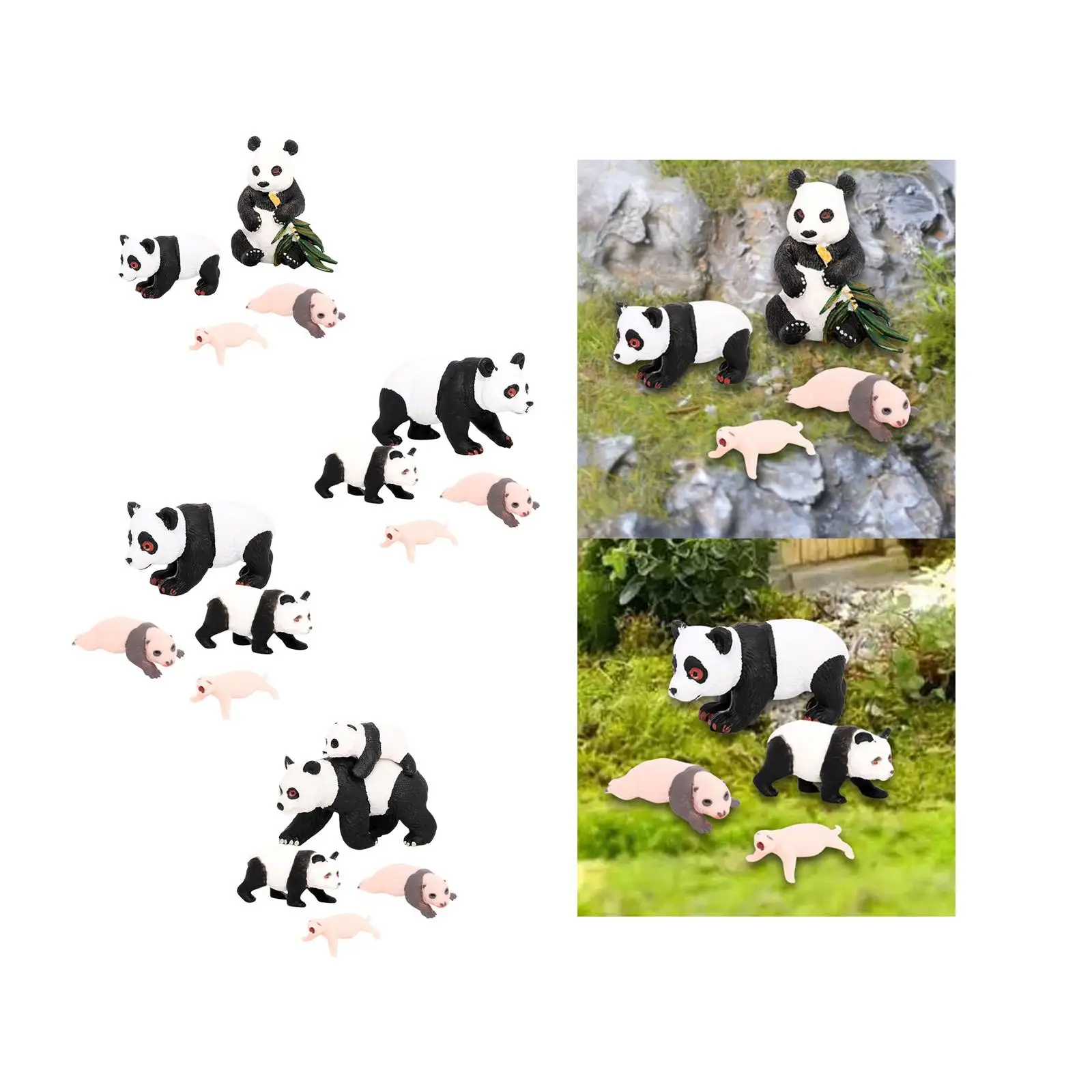 4Pcs Panda Animal Life Cycle Model,Classroom Accessories,Educational Toys,Early