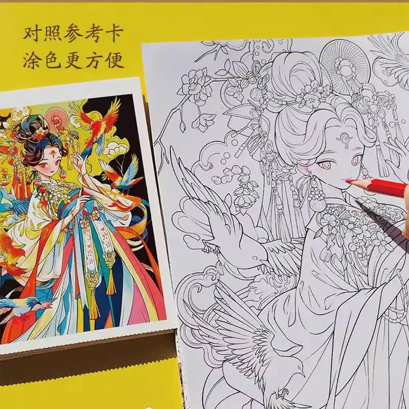 Chinese National Style Flower And Bird Girl Collection Illustration book for Coloring Book