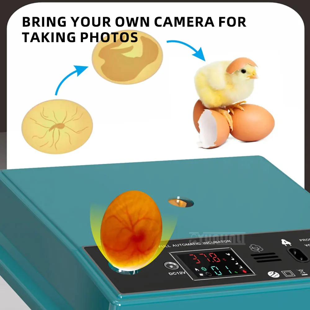  Intelligent Breeding Dedicated Incubator,Household Small Egg Incubator,Fully Automatic Incubator