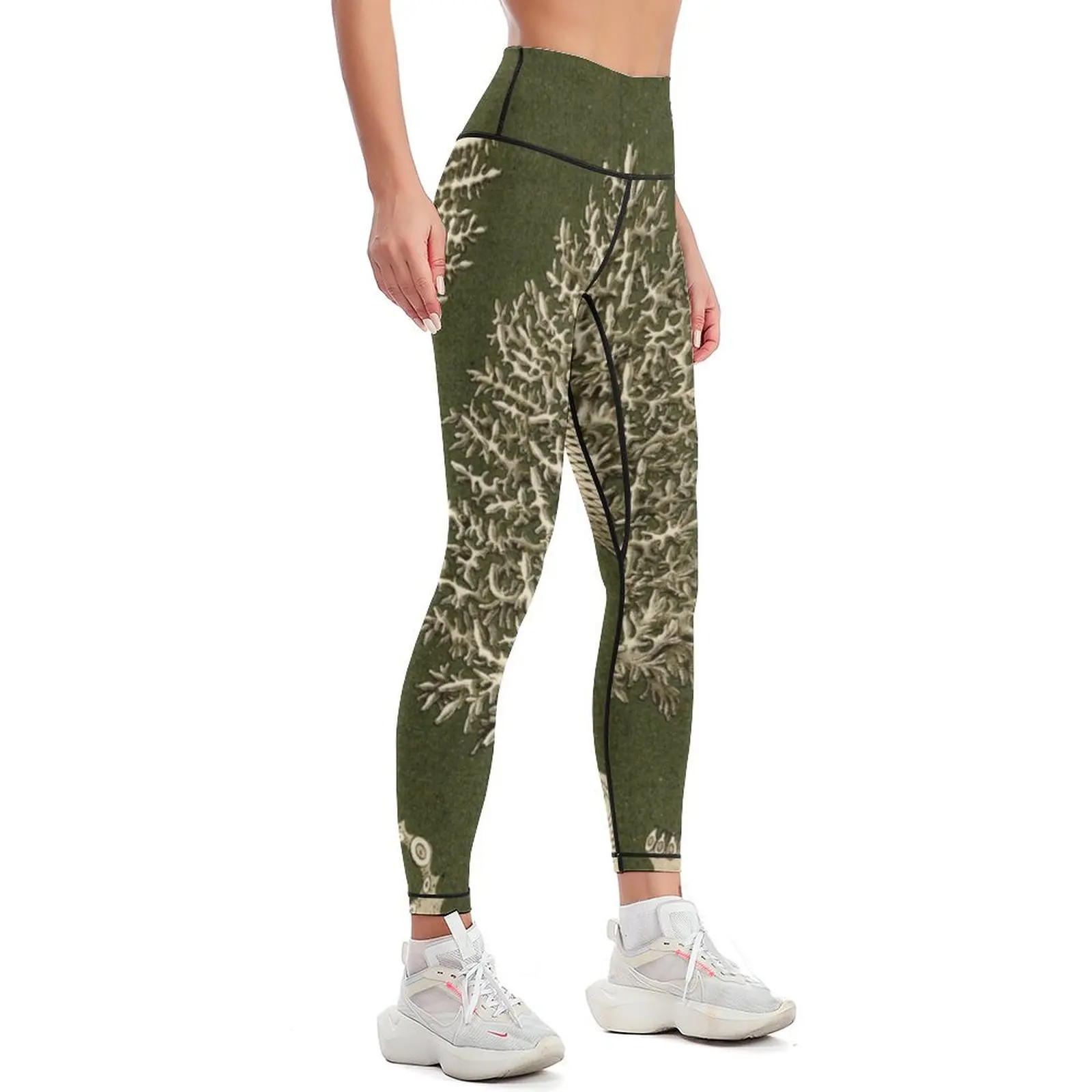 Calcispongiae - Ernst Haeckel Leggings Sports pants for sports for workout clothes for Womens Leggings