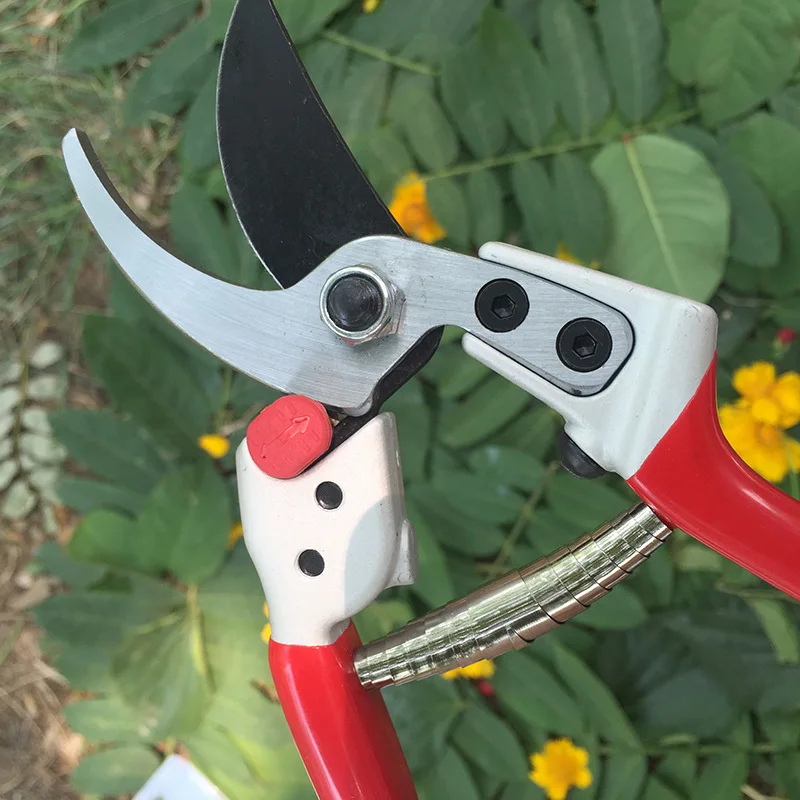 Árvore de fruto tesoura de poda tesoura ferramentas de jardinagem novo ramo de frutas tesoura sk5 tesoura de poda de madeira