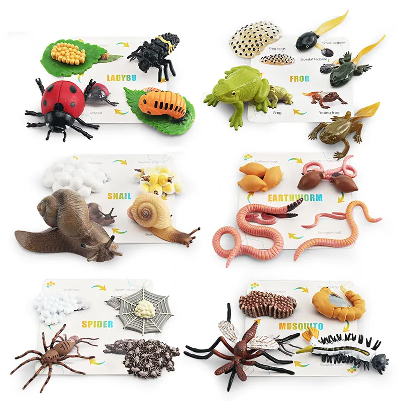 Children Cognitive Simulation Insect Educational Toys Animal Growth Cycle Boxed Set Ladybug Model Parish Learning Teaching Aids