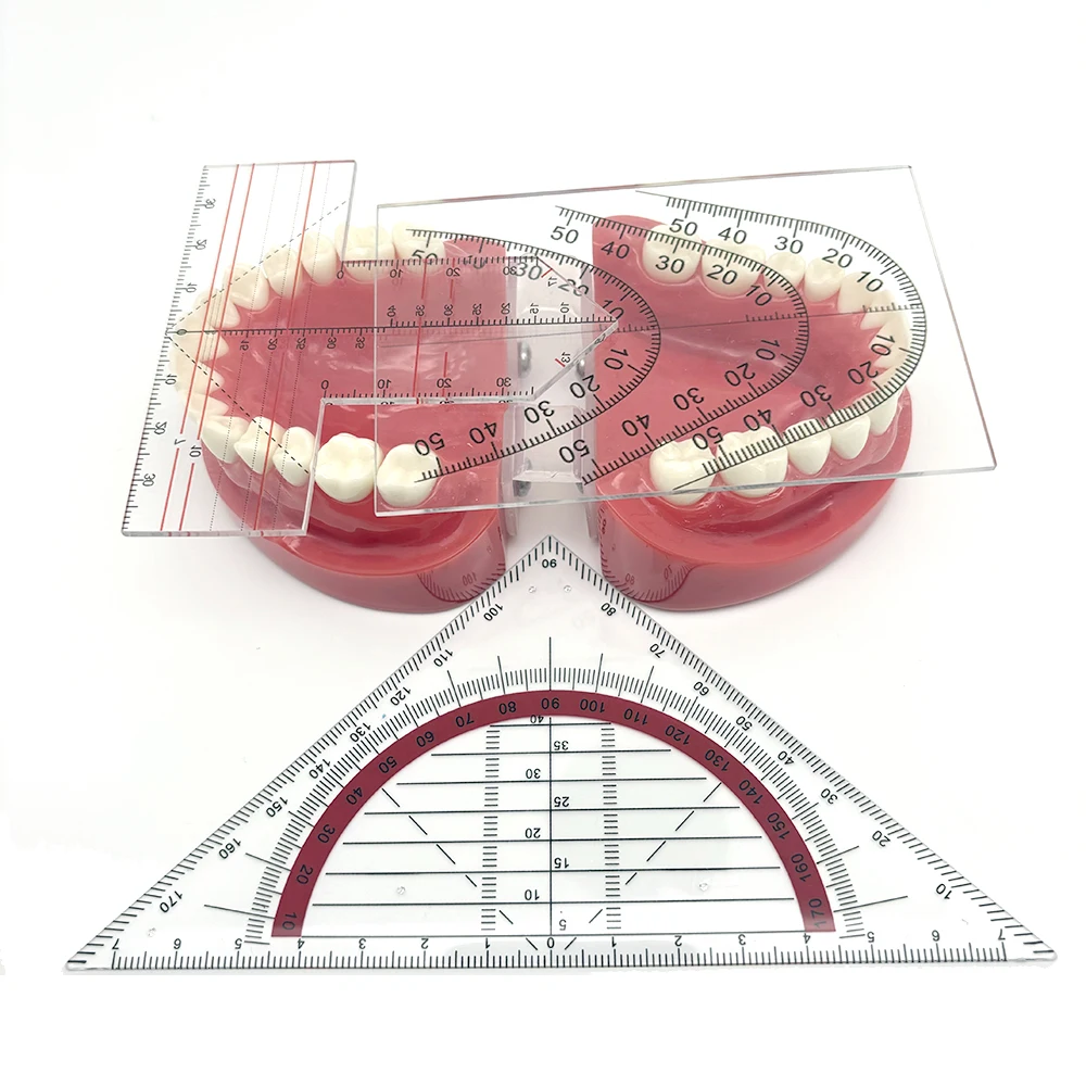 Dental Lab Denture Drawing and Alignment Dental Ruler T-Shape Examination Orthodontic Symmetry Measurements Multifunctional