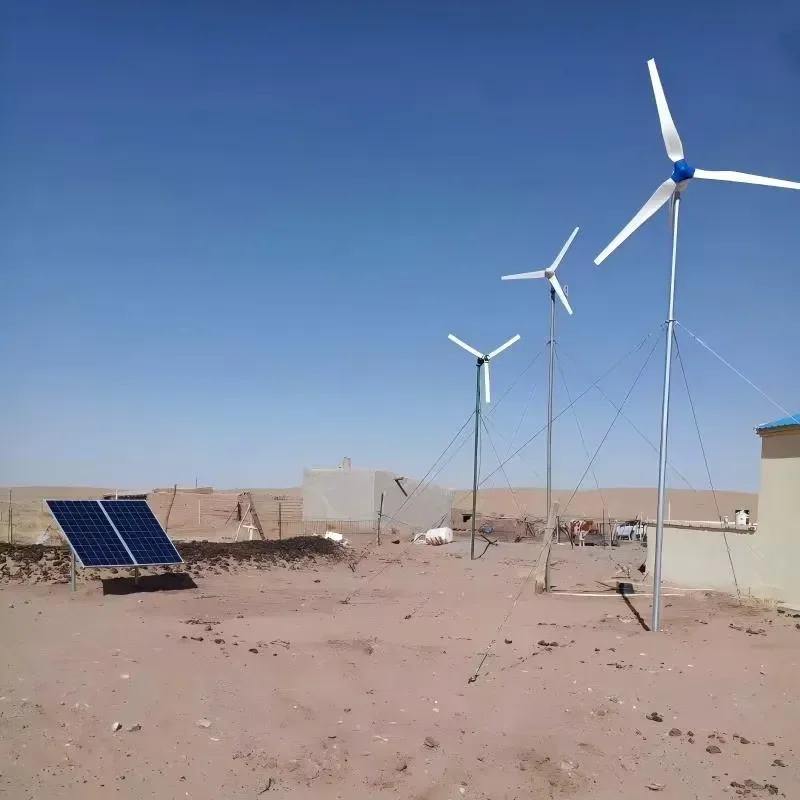 OLU FN 300W Wind Generators 24V Advanced Composite Blades 2.5m/s Rated Speed Auto Yawing System Wind Turbine for Home Farm