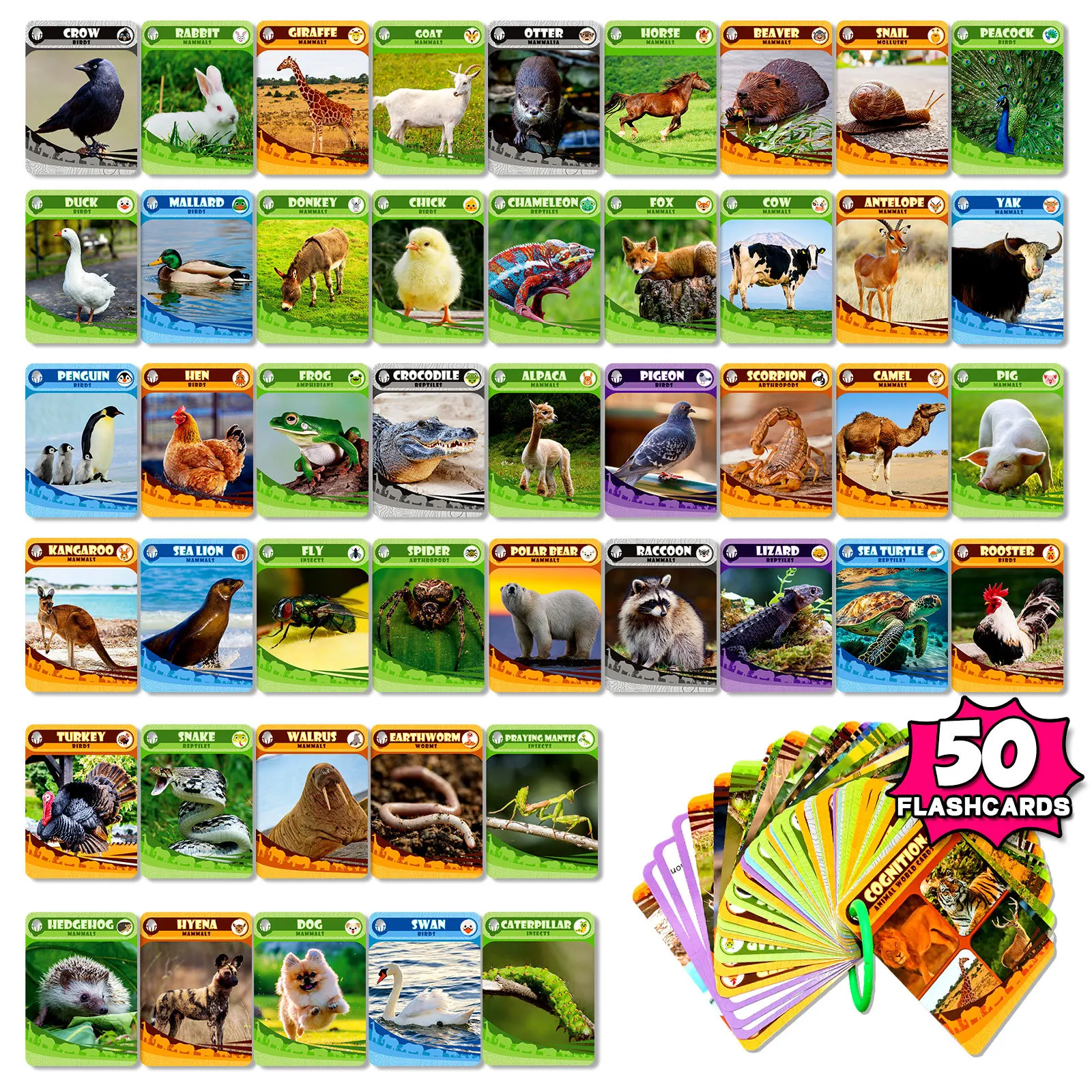 50Pcs/Set Animal Learning Card Funny Memory Nature Flash Cards Early Education Toys For Children Kids