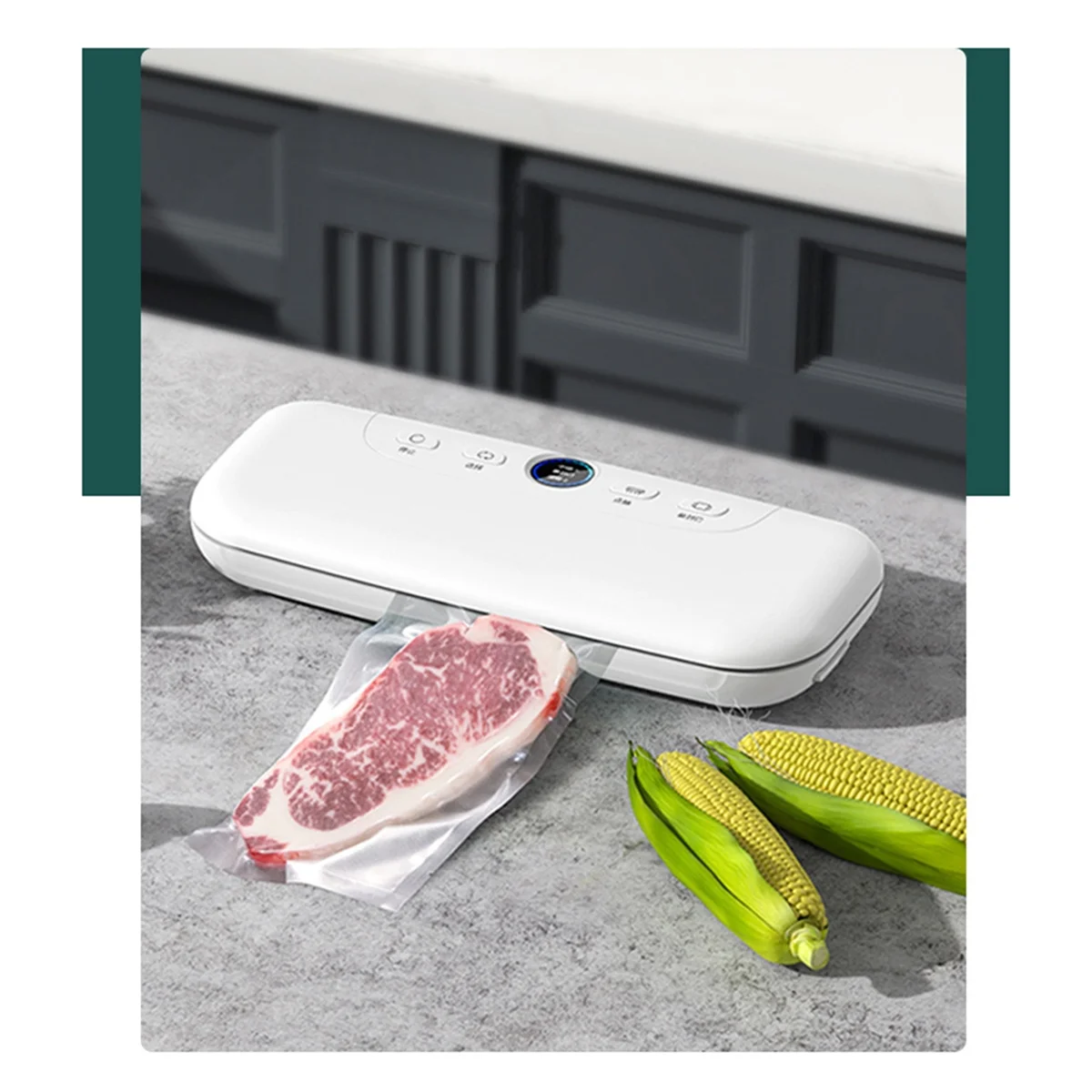 A005-آلة حفظ الختم الطازجة فراغ السدادة آلة الختم المنزلية آلة فراغ الغذاء الصغيرة الاتحاد الأوروبي التوصيل