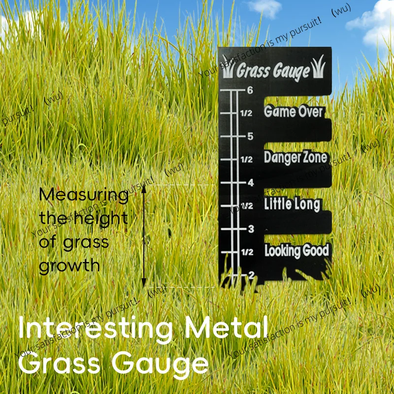 Interesting Metal Grass Gauge, Correction Garden Grass Gauge, Metal Crafts