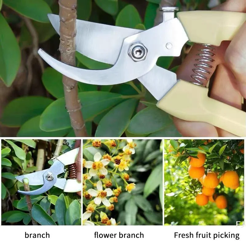 

Садовые ножницы для обрезки цветов, фруктовых деревьев, веток, прививки и домашнего использования