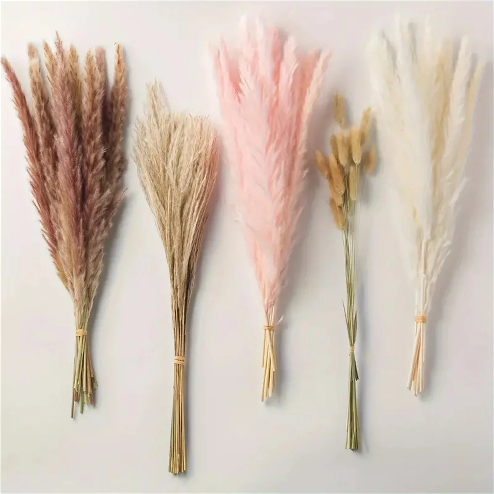 Natural Dried Pampas Grass Bouquet Christmas Wedding Decoration Dry Flowers Bunny Tails Reeds Boho Home Party Decor Arrangement