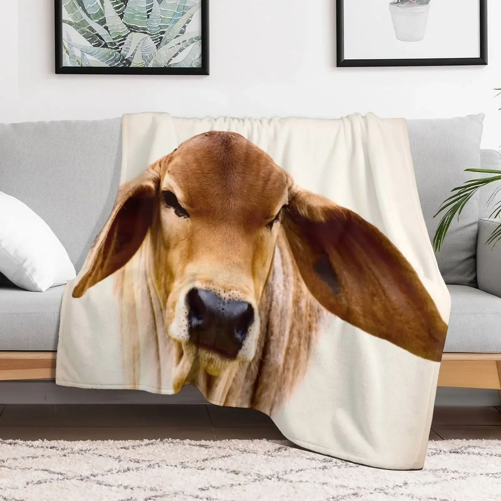 BRAHMAN CALF, PORTRAIT Throw Blanket funny gift Sofa Summer Cute Blankets