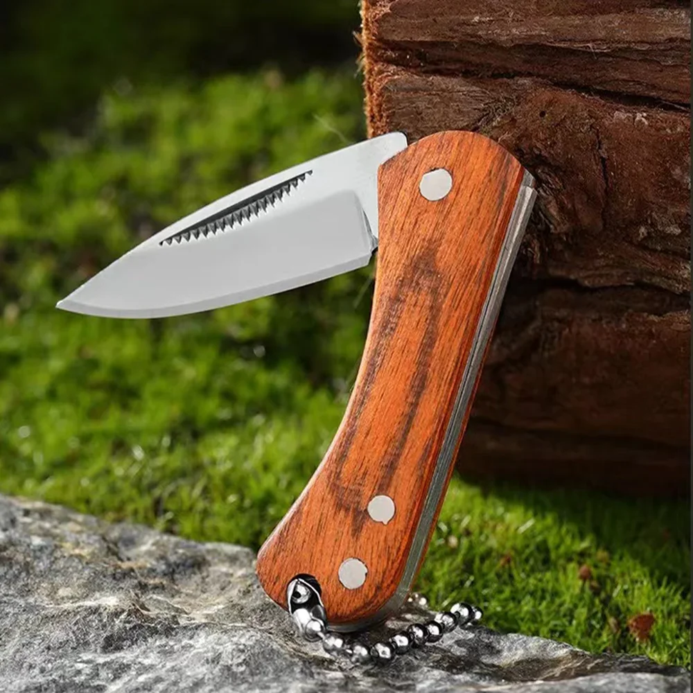 New Mini Stainless Steel Folding Knife Colorful Wood Portable Mini Keychain Unboxing and Opening Express Knife